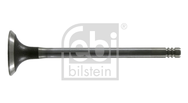 Intake Valve